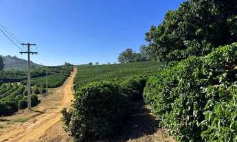 Imagem 3: Fazenda de café produtiva de 166,66 alqueres (399,984 hectares) no Município de