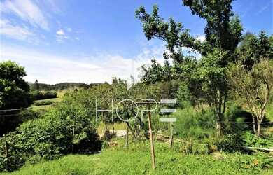 Imagem 4: Chácara Completa à Venda 3.8 Alqueres Paulista e 4 Minas de Água Agudos do Sul PR