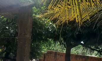 Imagem 5: Vendo casa no distrito do sucuri