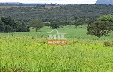 Imagem 4: Fazenda Em Paraúna/GO - 27 alqueires ( 130 hectares
