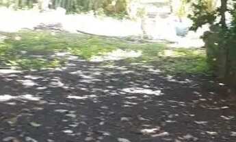 Imagem 2: Chácara no Morada Nova