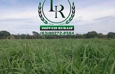 Imagem 3: Oportunidade Chácara de 34 Hectares Próximo de Palmas