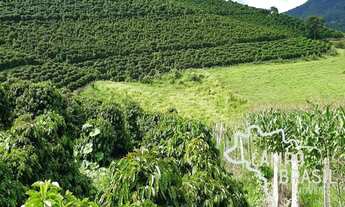 Imagem 2: Fazenda no Sul de Minas com 600mil pés de café e estrutura para leite!