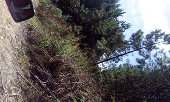 Imagem 6: Aceita permuta! Fazenda / sítio com venda por R$37.000.000