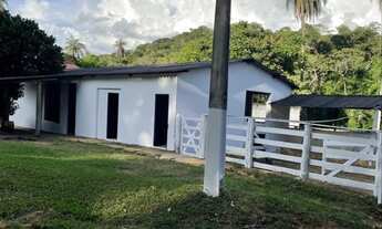 Imagem 3: Fazenda de luxo 36ha toda formada, lagoa de peixes, córrego, poço artesiano, Jaboticatubas