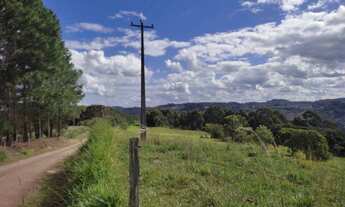 Imagem 7: Sítio / Chácara para Venda em Nova Petrópolis, São Jacó