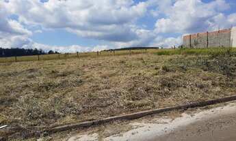 Imagem 7: Terreno Jardim Letícia