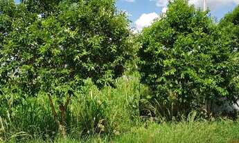 Imagem 3: Terreno 1017m² Condominio Fechado Portal do Paranapanema