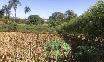 Imagem 2: Chácara para venda possui 5000 metros quadrados