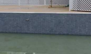 Imagem 6: Apartamento no Jose Américo ZERO DE ENTRADA