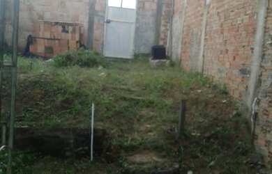 Imagem 7: Monte das oliveiras - Manaus - AM