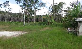 Imagem 5: Terreno de 31.000m² para condomínio ou hotel na orla de Porto Seguro!