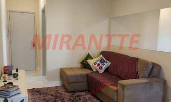 Imagem 4: Lindo apartamento em Tucuruvi