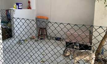 Imagem 5: Sobrado para venda possui 120 metros quadrados com 3 quartos em Vila Mazzei - São Paulo