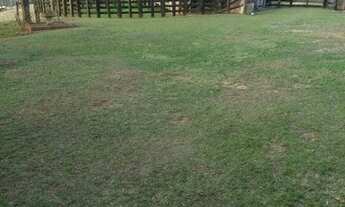 Imagem 7: Sítio 15 alqueires no Bairro dos Arrudas em Itapetininga-SP!!!!