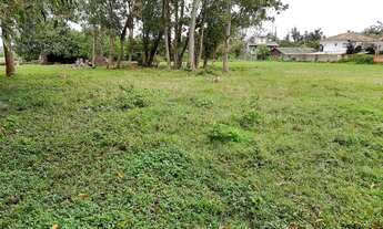 Imagem 4: Terreno com escritura publica, viabilidade ARM 3,5