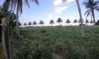 Imagem 4: ÁREA À VENDA, 46.000 M2, 300 METROS DA BR 101, APTIDÃO INDUSTRIAL