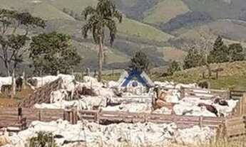 Imagem 3: Fazenda à venda, 3630000 m² por R$ 11.000.000,00 - Zona Rural - Prudentópolis/PR