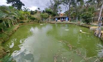 Imagem 6: Sítio com 4 dormitórios à venda, 38000 m² por R$ 1.380.000 - Arace - Domingos Martins/ES