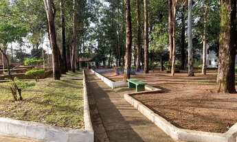 Imagem 5: Apartamento - Vila Padre Manoel de Nóbrega - Campinas