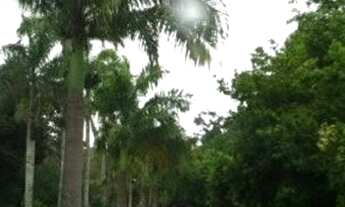 Imagem 2: Casa Condomínio Torquato Castro 3 quartos