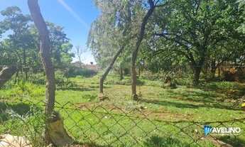 Imagem 6: Ótima área na avenida Gunter Hans