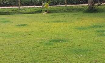 Imagem 5: Alugo sitio firme