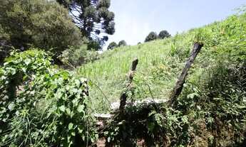 Imagem 7: Casa com 2 quartos em Almirante Tamandaré - PR