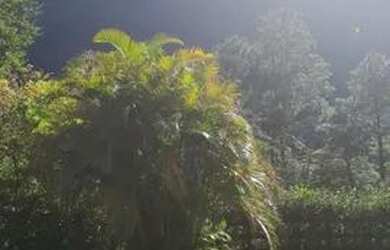 Imagem 6: ALUGUEL RESIDENCIAL E/OU COMERCIAL DE CASARÃO EM PETRÓPOLIS