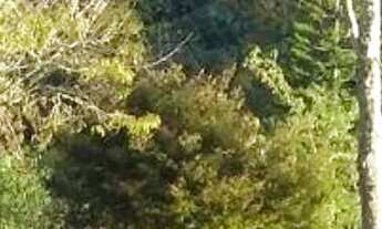 Imagem 5: Terreno residencial à venda, Alto Castelinho, Vargem Alta