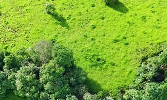 Imagem 7: Fazenda 5 alqueires com 2 águas e pasto formado - 13 km de Formoso-GO - Escuto propostas