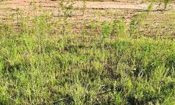 Imagem 6: Terreno a venda (aceita carro no negócio