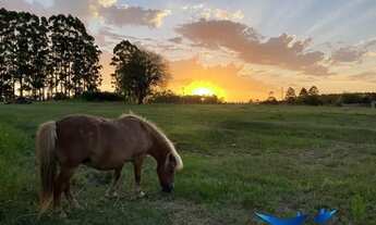 Imagem 3: Velleda oferece belo sítio dos sonhos! 4 hectares com frente para a lagoa, em Águas Claras