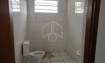 Imagem 4: Comercial GalpãoBarracão em Marília