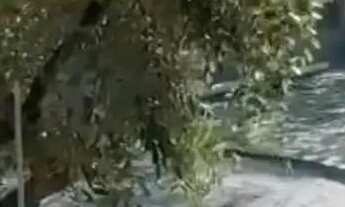 Imagem 10: Casa em Corumbau - Prado - BA