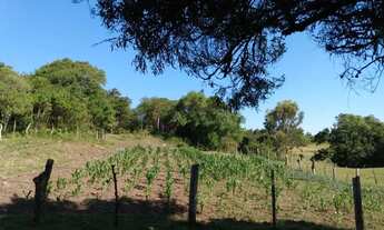 Imagem 2: Chácara 2 dormitórios à venda Zona Rural Morro Redondo/RS