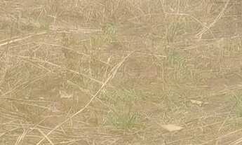 Imagem 6: Chacaras na região di jardim mateus leme