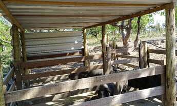 Imagem 6: Sítio em faina-GO