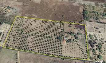 Imagem 5: Aluga-se Lotes Industriais - CIS-Leste. Br 324, Feira-Salvador