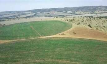Imagem 7: FAZENDA produtiva com 30 Alqueires e pivô em Hidrolandia Dupla Aptidão