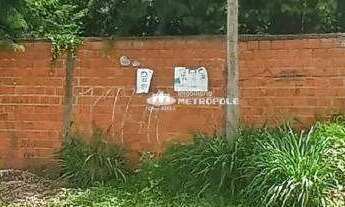 Imagem 2: AV. DOUTOR NICANOR BARRETO - BAIRRO: VALE QUEM TEM