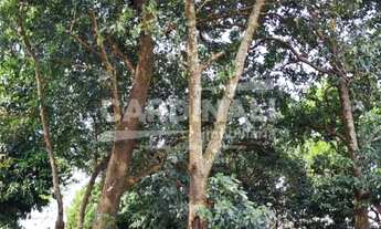 Imagem 5: Terreno com boa localização, plano, pronto para construir