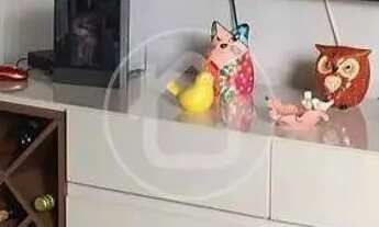 Imagem 5: CASA COM 02 DORMITORIOS - PIONEIROS