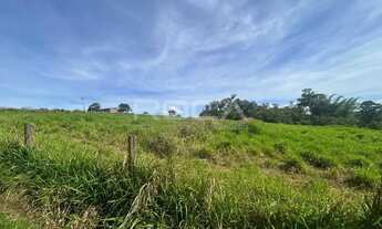 Imagem 4: Terreno à venda em Valparaiso, São Carlos - Oportunidade única!