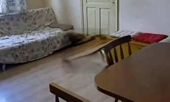 Imagem 4: ENGENHO NOVO | Rua Pelotas - Apartamento Tipo Casa 2 Quartos 1 Banheiro