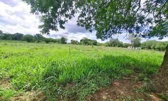 Imagem 6: Vendo excelente sítio as margens do São Francisco