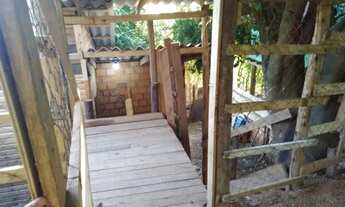 Imagem 4: Casa Madeira eucalipto premium 540 x 270 com patio grande