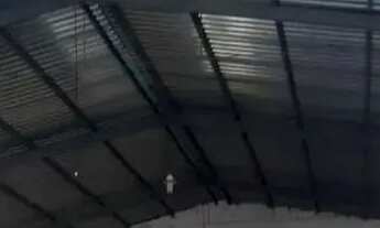 Imagem 3: GALPÃO - JARDIM ARPOADOR - SP