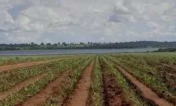 Imagem 5: Fazenda 178 alqueires região de inaciolândia-GO