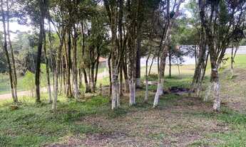 Imagem 4: Terreno de esquina/ Direto com o proprietário